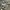 New Balance Streetwear Sportswear Sneakers Pria Silver