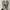 Asics Sportswear Sneakers Pria gray photo 4
