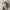 Asics Sportswear Sneakers Pria gray photo 1