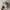 Asics Sportswear Sneakers Pria gray photo 2