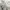 Karakuri Tamashii Vintage Y2K Hoody Pria white photo 7