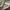 Givenchy Streetwear Luxury Cardigan Pria cream photo 8