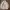 Givenchy Streetwear Luxury Cardigan Pria cream photo 1