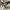 Givenchy Streetwear Luxury Cardigan Pria cream photo 4
