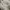 Givenchy Streetwear Luxury Cardigan Pria cream photo 6