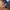 Streetwear Casual Harrington jacket Pria navy photo 8