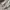 Japanese brand Streetwear Casual Cardigan Pria cream photo 3