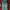 Y2K Skater Sweatpants & Joggers Kids Green Blue