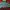 Y2K Skater Sweatpants & Joggers Kids green blue photo 2