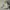 Nike Air Jordan Streetwear Sportswear Sneakers Pria white tan photo 6