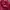 Levi's Casual Hoody Pria burgundy red photo 3
