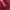 Levi's Casual Hoody Pria burgundy red photo 1