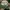 MLB Y2K Sportswear Hat Pria green white photo 2