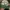 MLB Y2K Sportswear Hat Pria green white photo 1