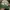 MLB Y2K Sportswear Hat Pria Green White