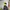 Sportswear Windbreaker Pria gray photo 2