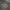 Sportswear Windbreaker Pria gray photo 6