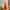 Sportswear Windbreaker Pria orange photo 4