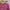 Vintage Casual Sweatshirt Kids pink photo 3