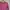 Vintage Casual Sweatshirt Kids Pink