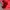 Streetwear Sportswear Pria red photo 5