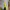 Sportswear Windbreaker Pria yellow navy photo 4
