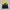 Sportswear Windbreaker Pria yellow navy photo 6