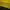 Sportswear Windbreaker Pria yellow navy photo 7