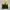 Sportswear Windbreaker Pria yellow navy photo 5
