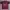 Adidas Vintage Jersey Pria pink photo 1