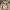 Zoo York Skater Short Pria multicolor photo 4