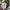 Anti Social Social Club Casual Hoody Pria multicolor photo 3