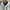 Tommy Hilfiger Casual Polo shirt Pria white photo 4