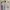 Tommy Hilfiger Casual Polo shirt Pria white photo 3