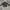 Streetwear Y2K Windbreaker Pria black photo 1