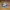 Nike Streetwear Sportswear Sneakers Pria Blue Gray