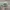 Adidas Casual Sneakers Pria green photo 4