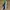 Nike Streetwear Sportswear Sneakers Pria black photo 8