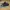 Nike Streetwear Sportswear Sneakers Pria black photo 1