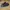 Nike Streetwear Sportswear Sneakers Pria Black