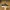 Nike Streetwear Sportswear Sneakers Pria Black