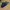 Nike Streetwear Sportswear Sneakers Pria black photo 3
