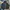 Nike Streetwear Sportswear Track jacket Pria multicolor photo 1