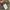 Carhartt Vintage Streetwear Pria tan photo 3