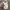 Adidas Streetwear Y2K Sneakers Pria white black photo 8