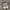 Adidas Streetwear Y2K Sneakers Pria White Black