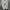 Adidas Streetwear Y2K Sneakers Pria white black photo 7