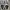 Adidas Streetwear Y2K Sneakers Pria white black photo 6