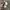 Adidas Streetwear Y2K Sneakers Pria white black photo 3
