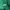 Fila Sportswear Parka Pria green photo 5